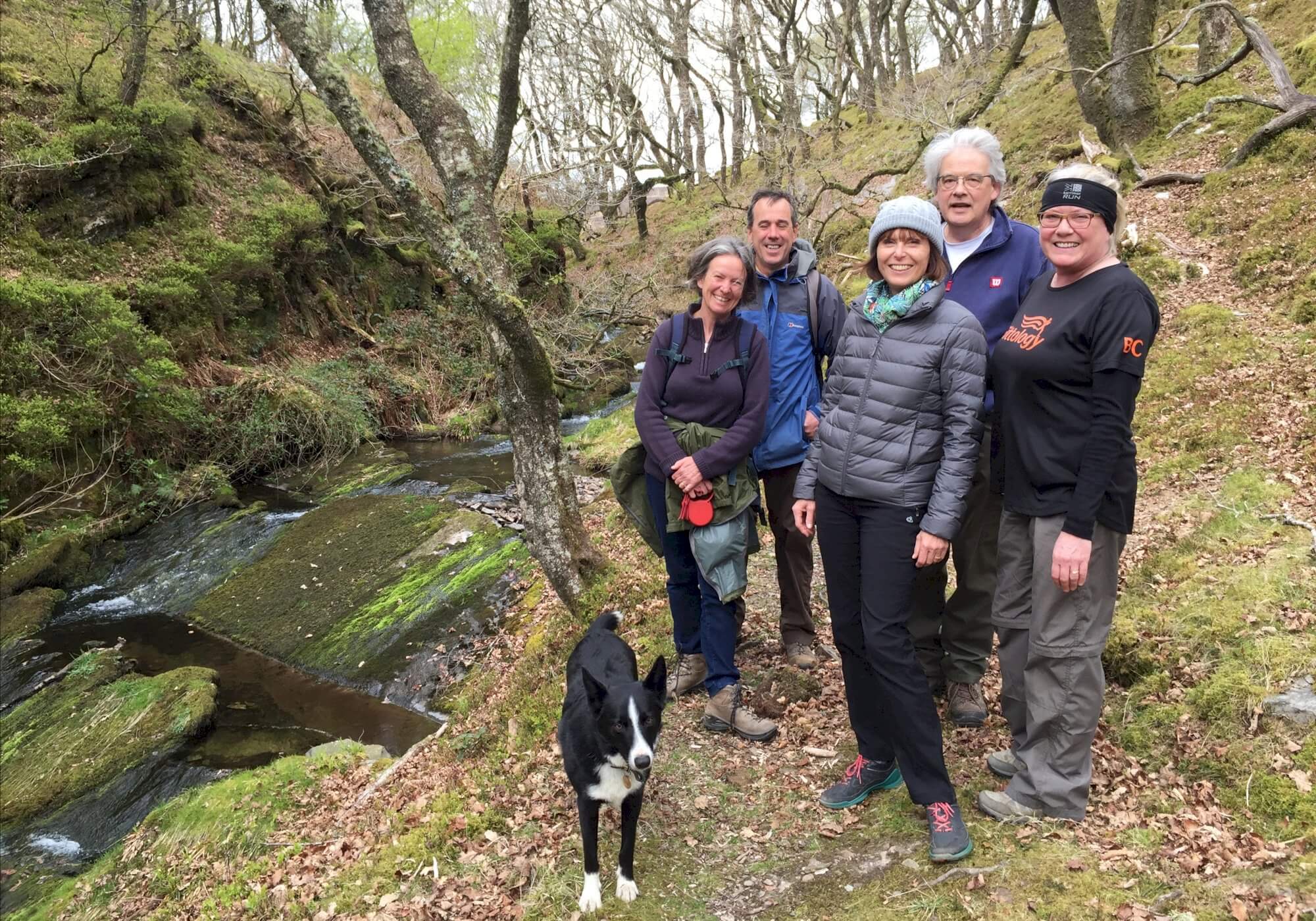 Wild About Exmoor - Guided Walks & Star Gazing 
