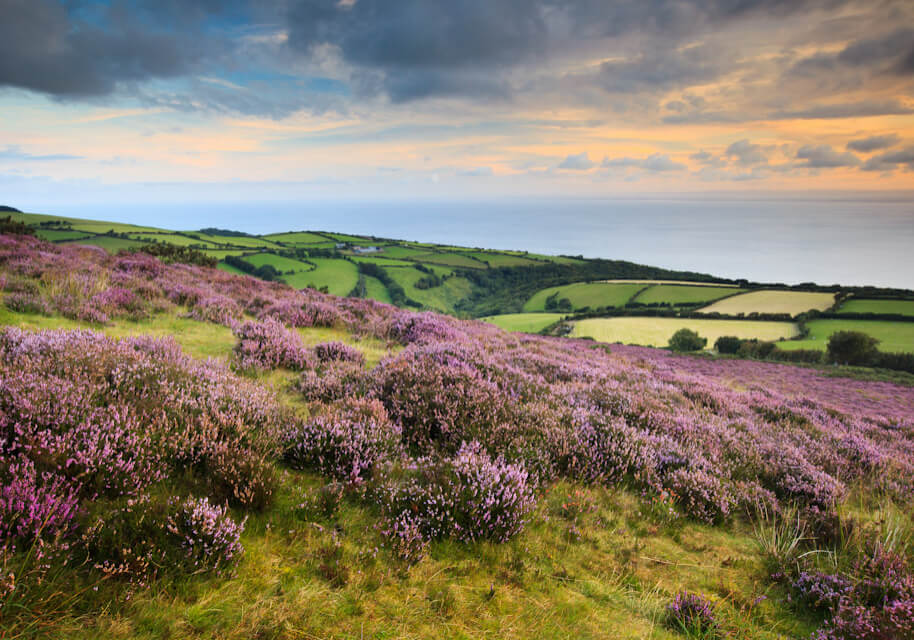 Explore Exmoor 