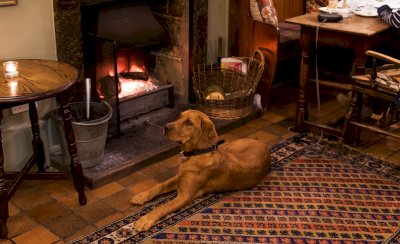 LUTRELL ARMS 101115 056